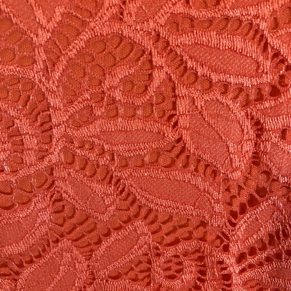 Sandra Darren Pull-Over Floral Lace Dress - Picture 4 of 13